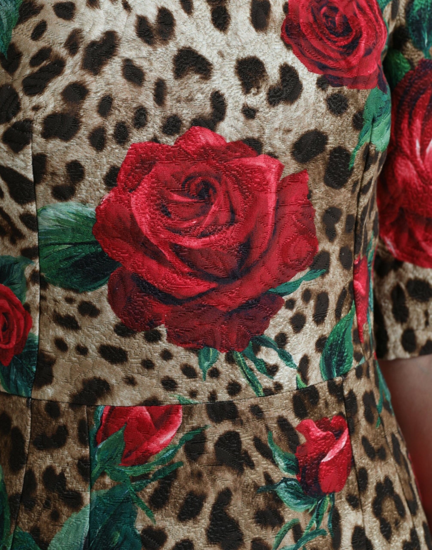 Dolce & Gabbana Brown Leopard Red Roses Cotton A-line Dress