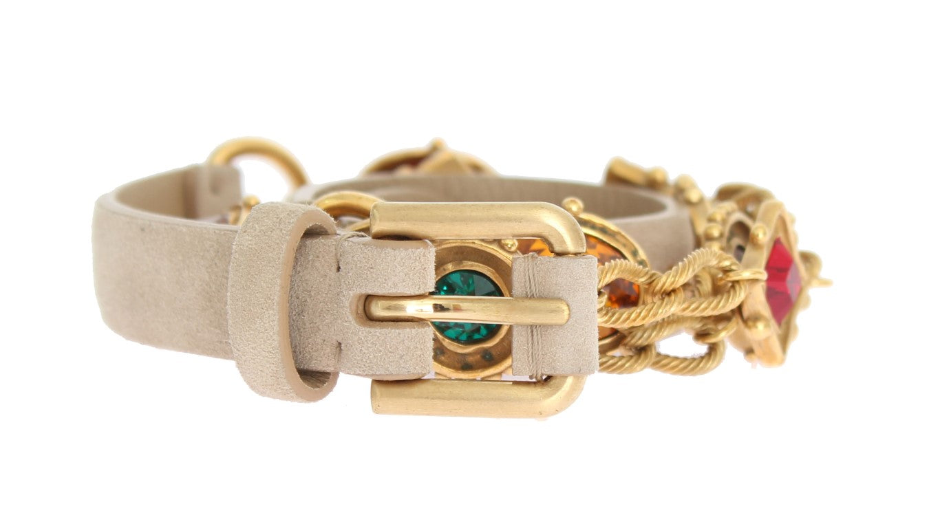 Dolce & Gabbana Elegant Multicolor Crystal Embellished Belt