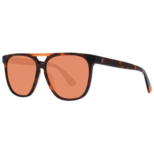 Web Brown Unisex Sunglasses