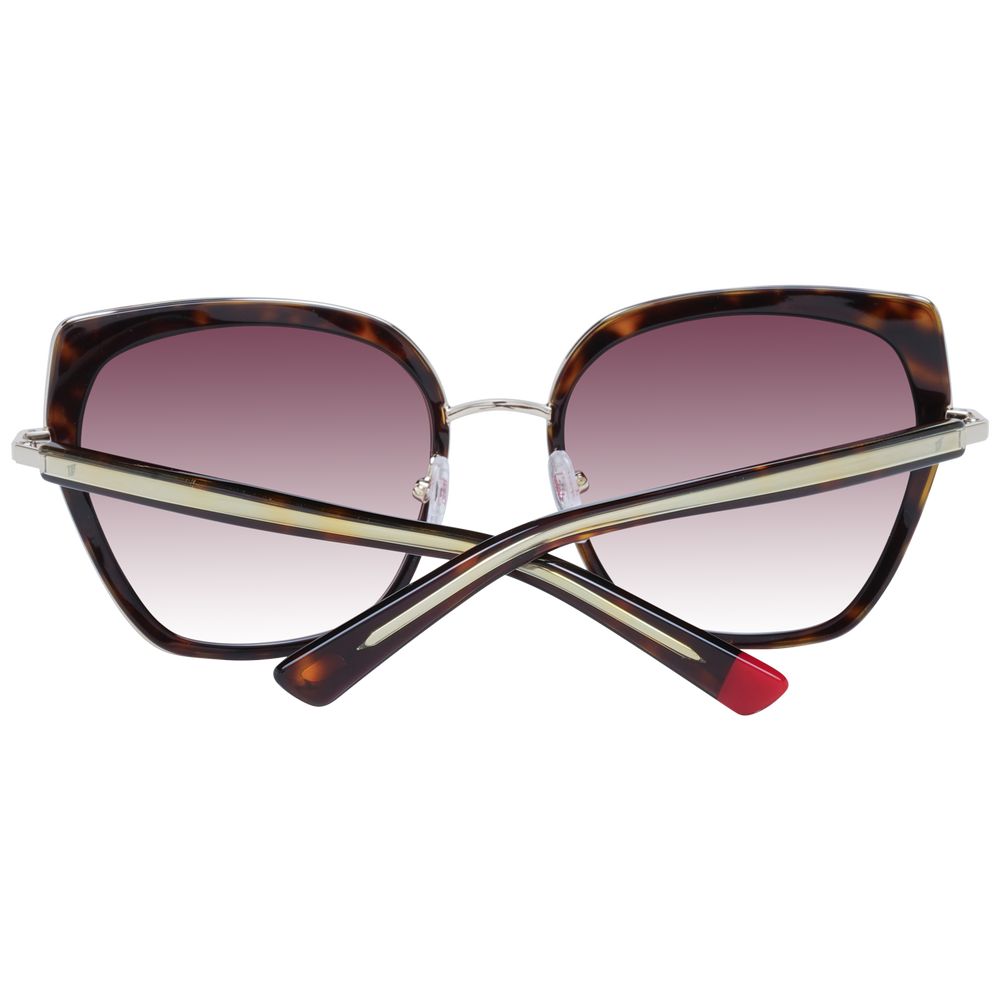 Web Brown Women Sunglasses