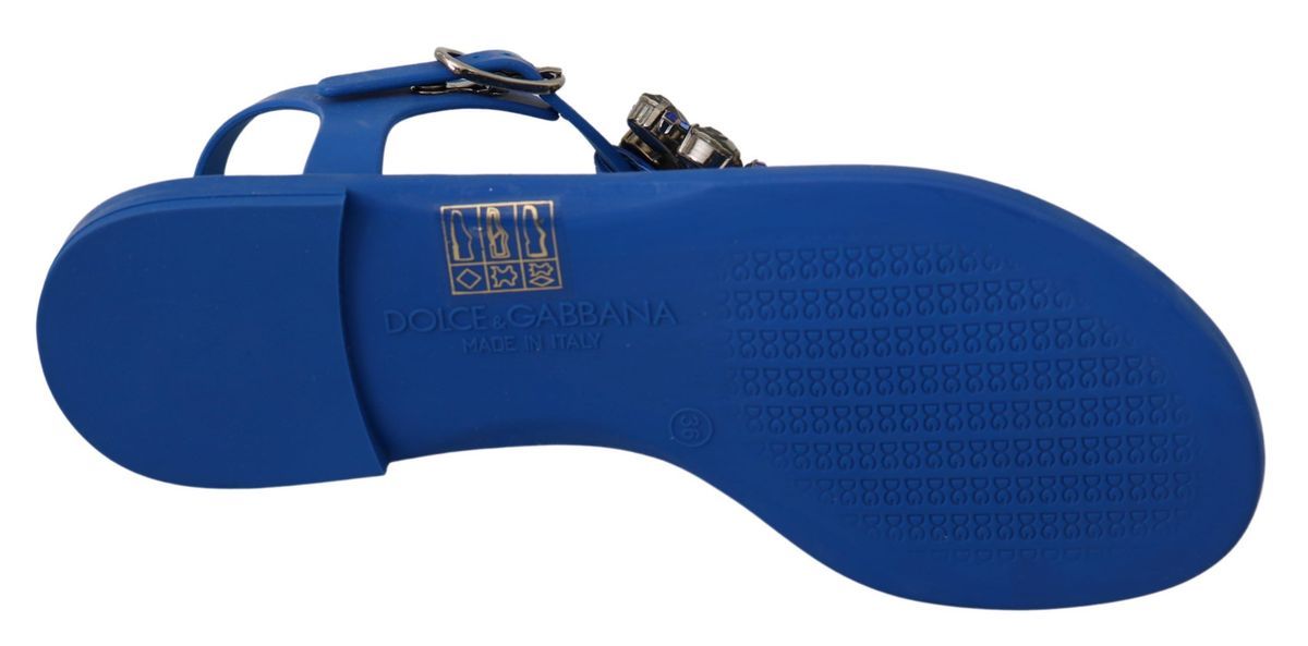 Dolce & Gabbana Blue Crystal-Embellished Beachwear Sandals