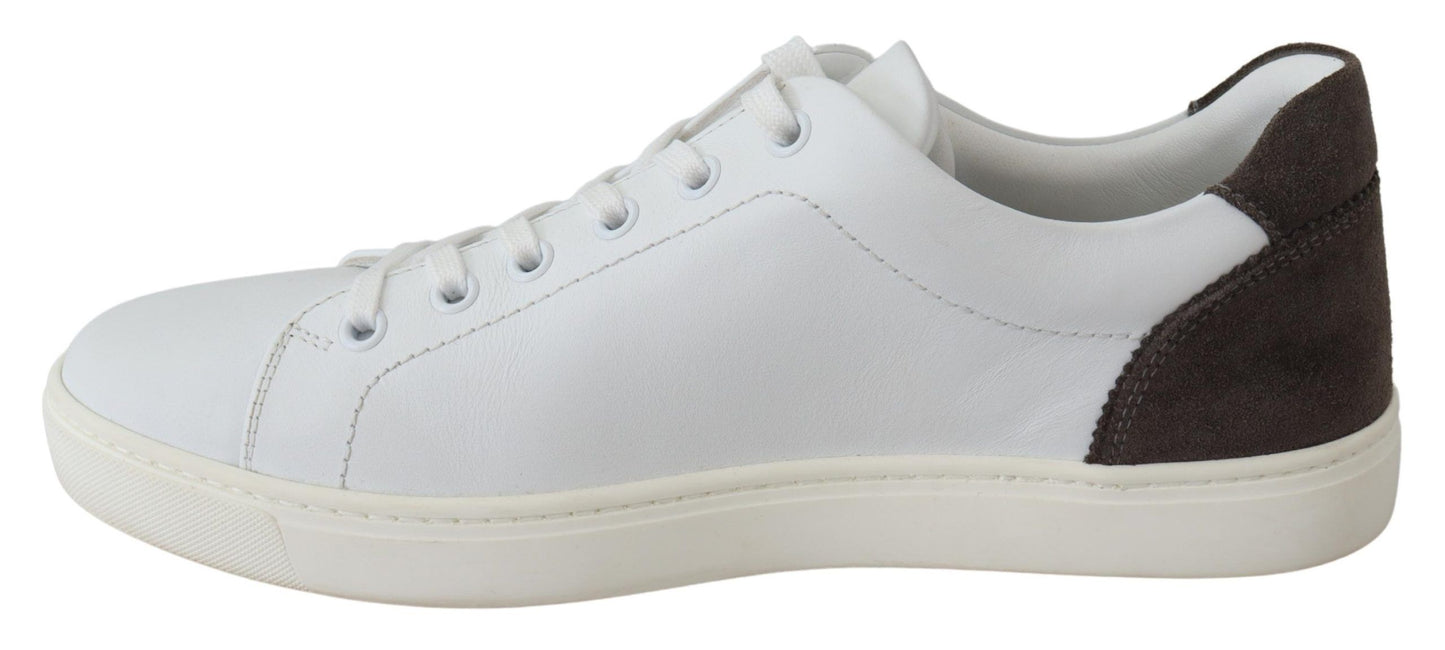 Dolce & Gabbana Elegant Low Top Leather Sneakers