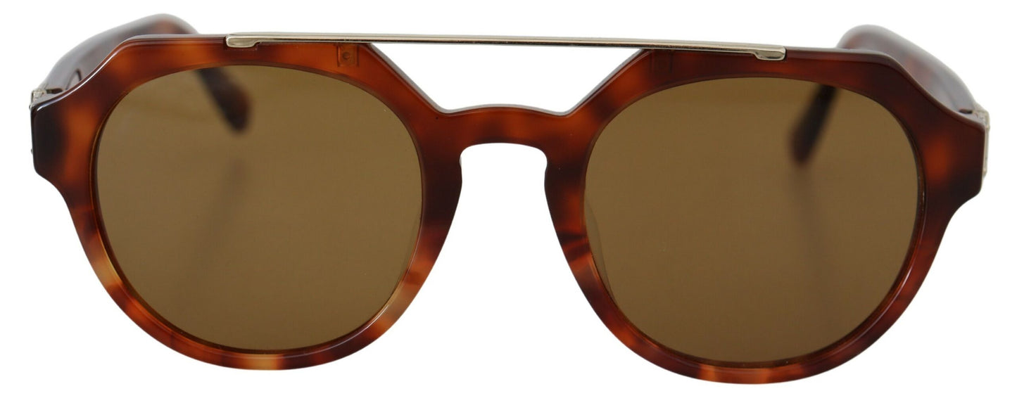 Dolce & Gabbana Chic Brown Wayfarer Sunglasses