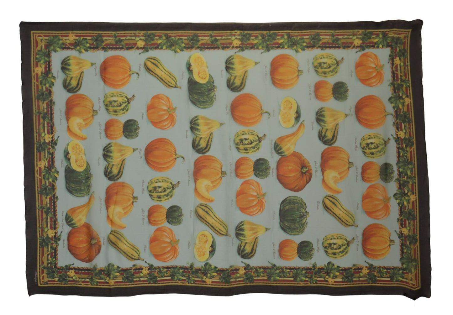 Dolce & Gabbana Multicolor Silk Vegetable Print Shawl