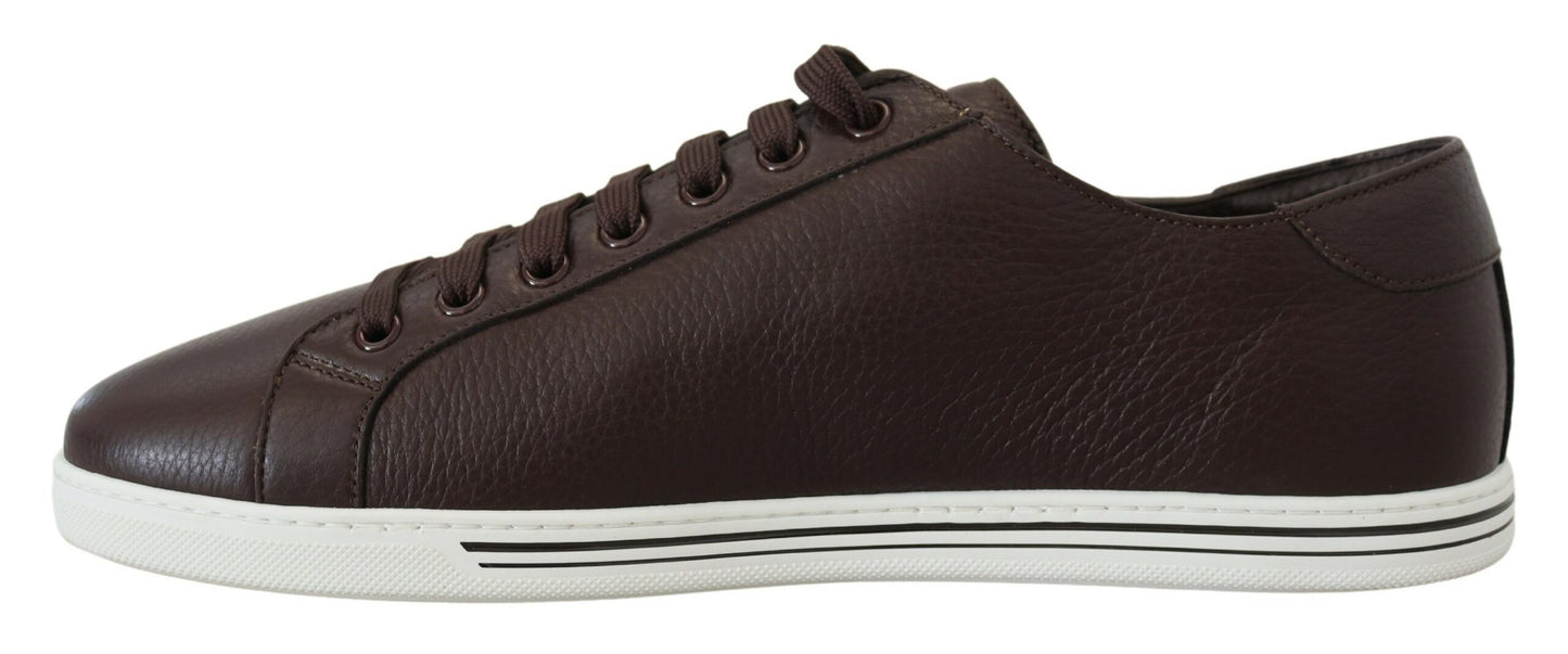 Dolce & Gabbana Elegant Leather Low Top Sneakers