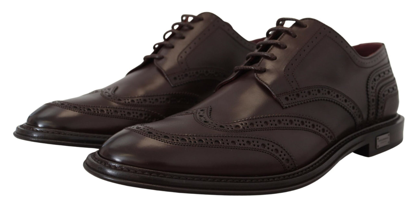 Dolce & Gabbana Elegant Brown Lace-Up Wingtip Leather Shoes