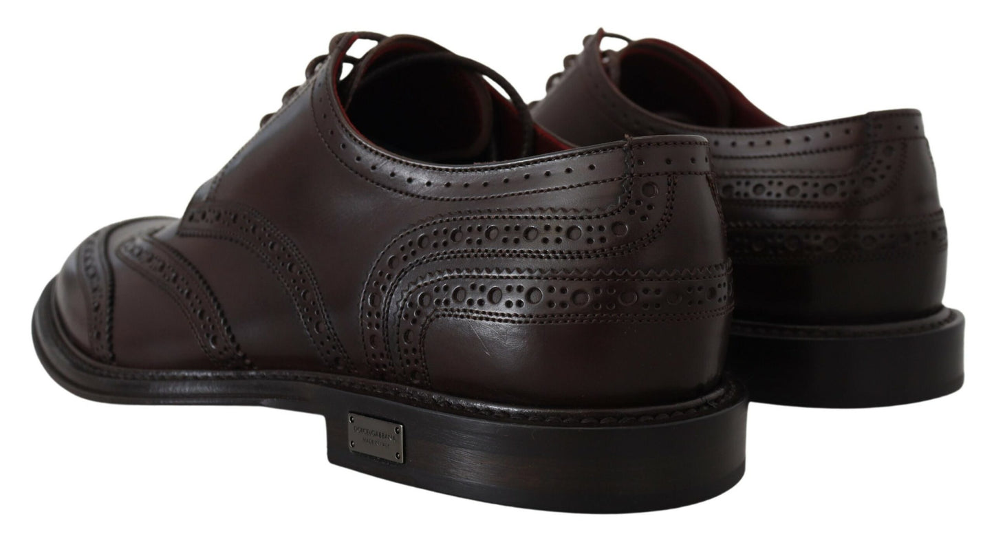 Dolce & Gabbana Elegant Brown Lace-Up Wingtip Leather Shoes