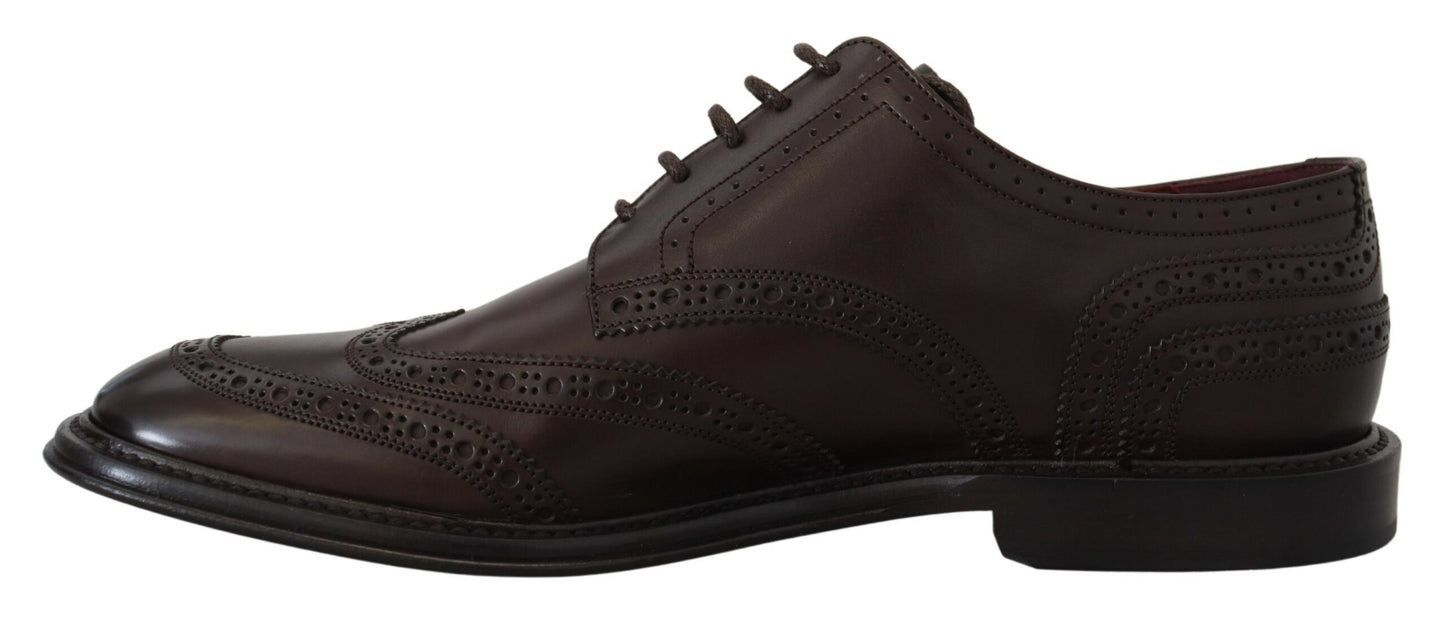 Dolce & Gabbana Elegant Brown Lace-Up Wingtip Leather Shoes