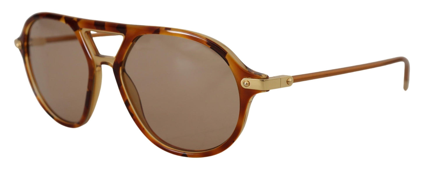 Dolce & Gabbana Chic Brown Acetate Sunglasses for Women