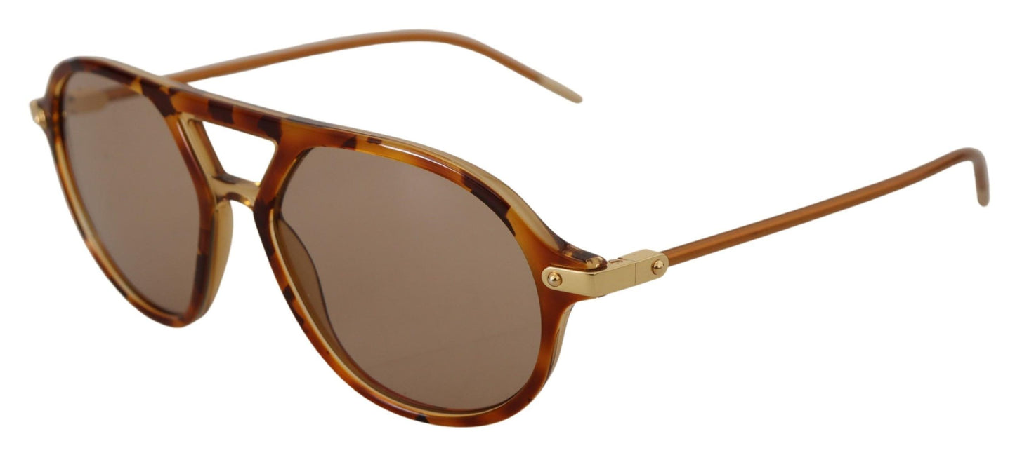 Dolce & Gabbana Chic Brown Acetate Sunglasses for Women