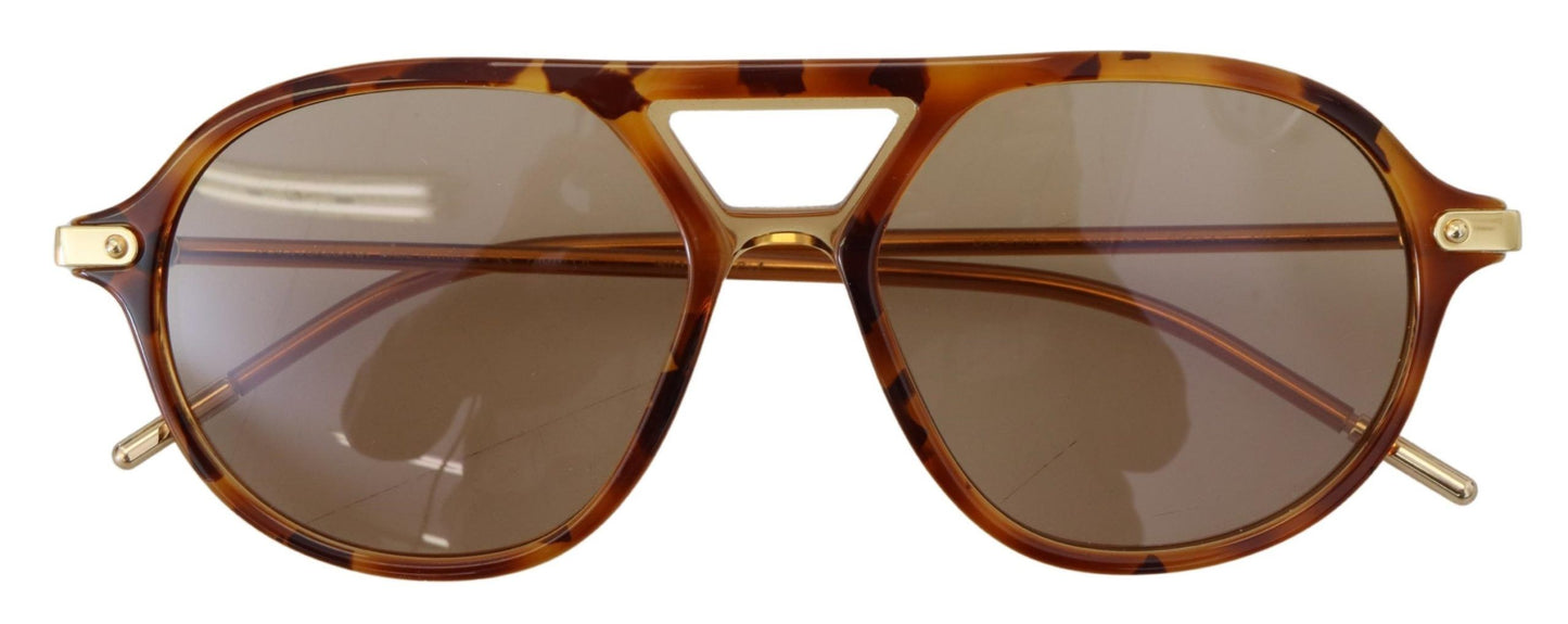 Dolce & Gabbana Chic Brown Acetate Sunglasses for Women