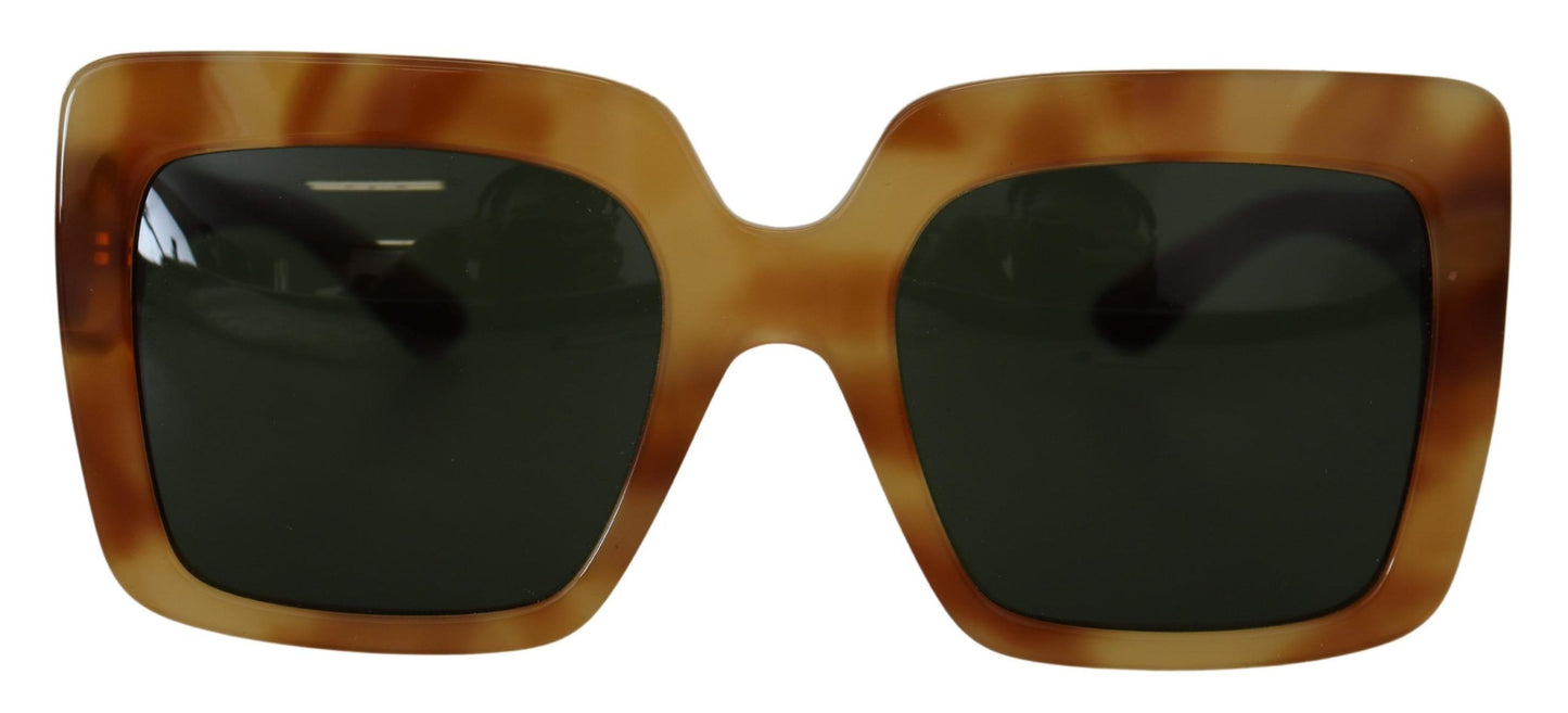 Dolce & Gabbana Elegant Havana Camel Sunglasses for Women