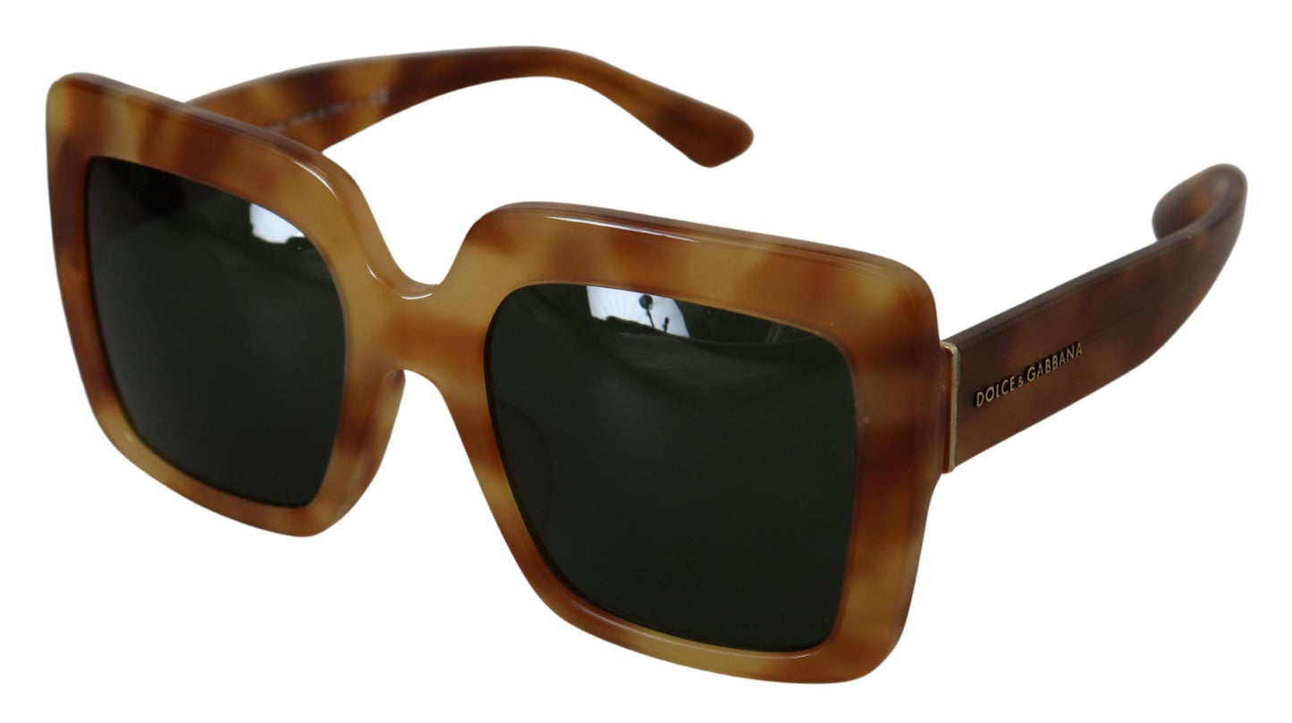 Dolce & Gabbana Elegant Havana Camel Sunglasses for Women