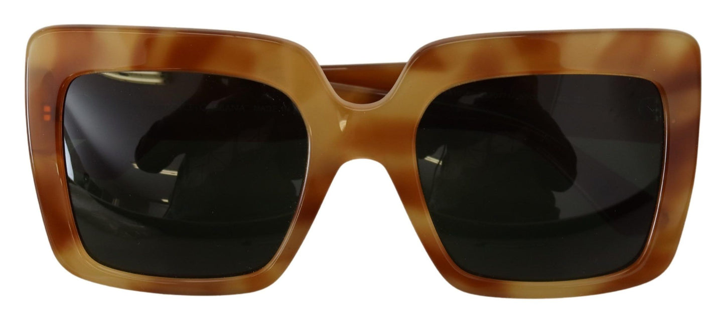 Dolce & Gabbana Elegant Havana Camel Sunglasses for Women