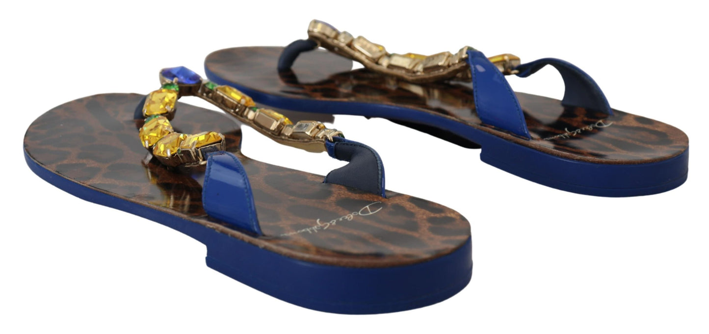 Dolce & Gabbana Blue Leopard Crystal Embellished Sandals