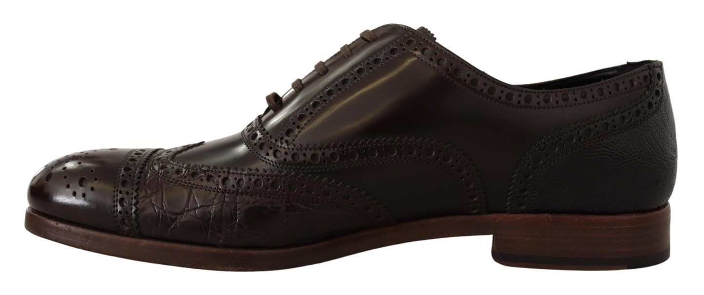 Dolce & Gabbana Elegant Brown Leather Derby Brogue Formal Shoes