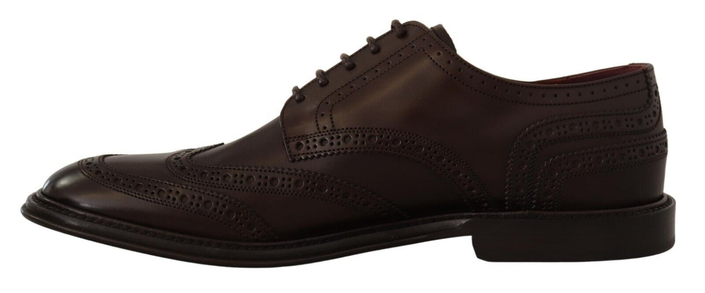 Dolce & Gabbana Brown Leather Oxford Wingtip Formal Derby